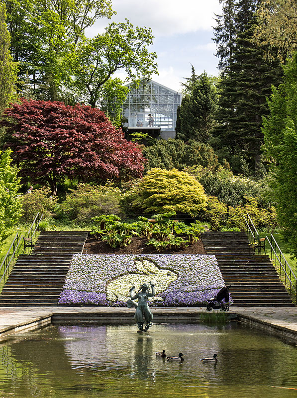 Göteborgs botaniska trädgård