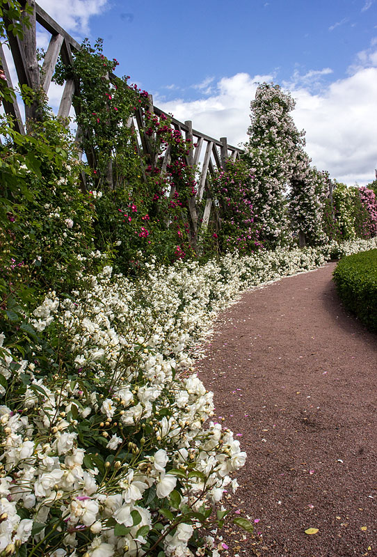 Rosenlunds herrgård och rosarium