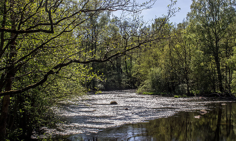 Fylleån