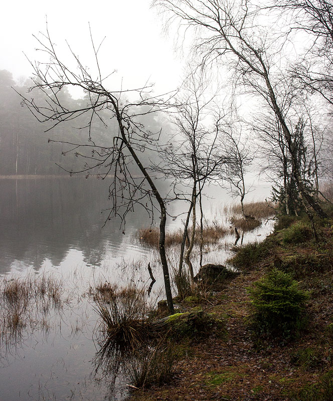 Biskopstorp