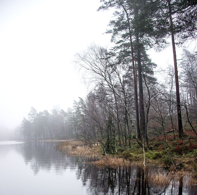 Biskopstorp