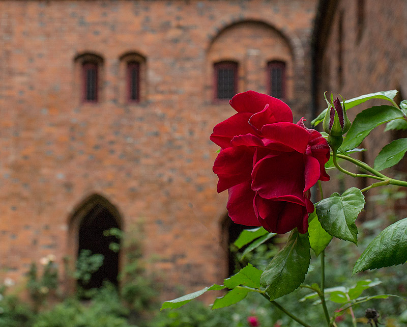 Vor Frue kloster