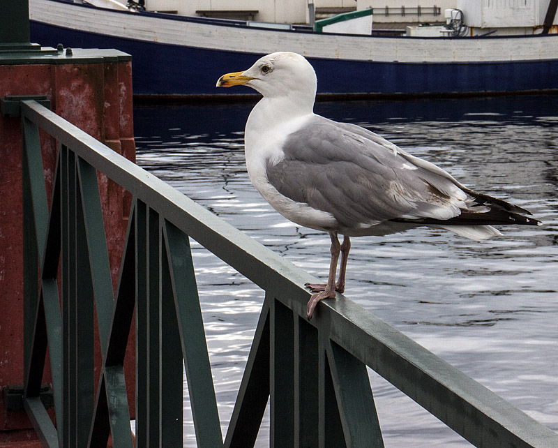 Helsingborg