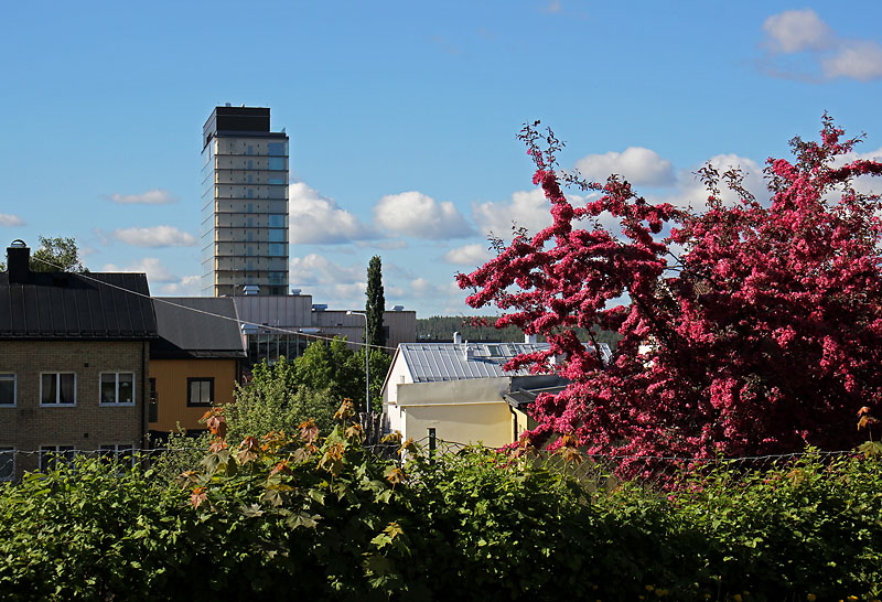 Skellefteå