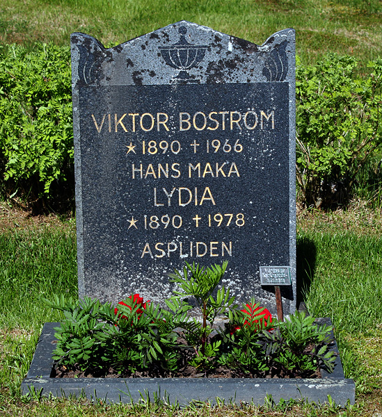Viktor Boström